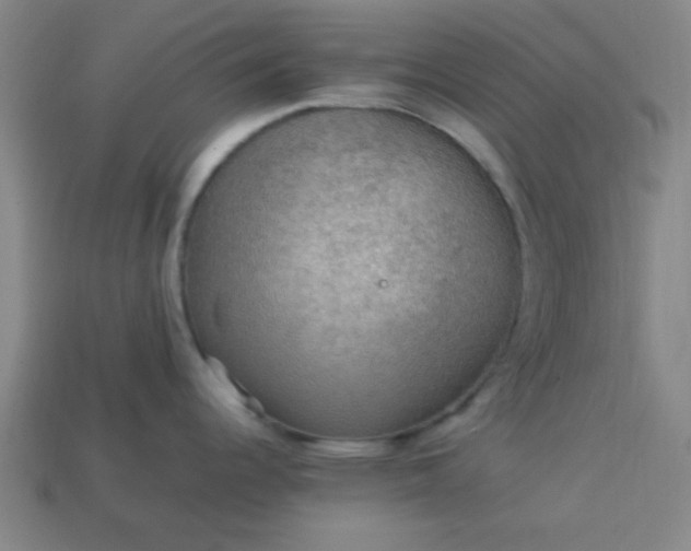 X0000113781344200910071216