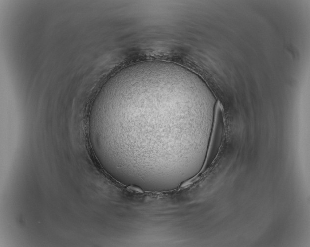 X0000113781345200910071215