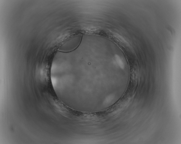 X0000113781346200910071215