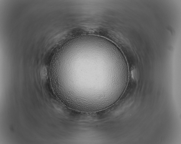 X0000113781347200910071215