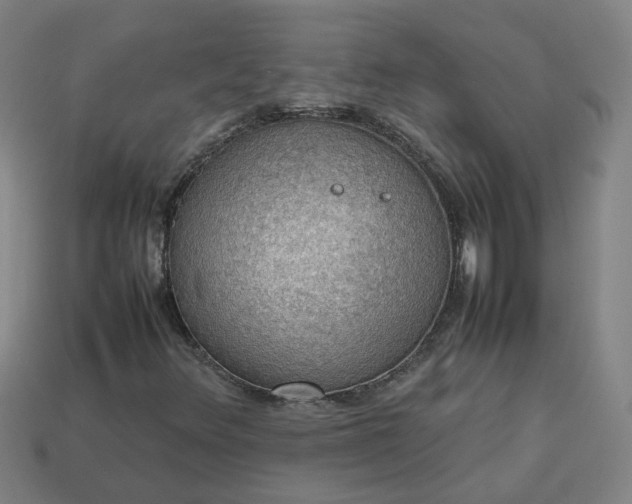 X0000113781348200910071215