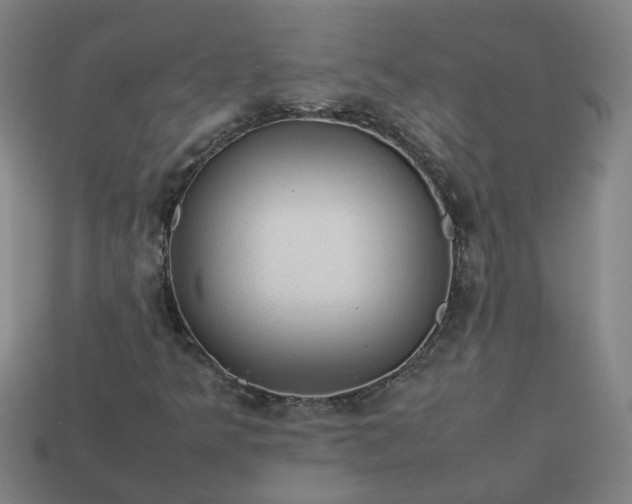 X0000113781349200910071215