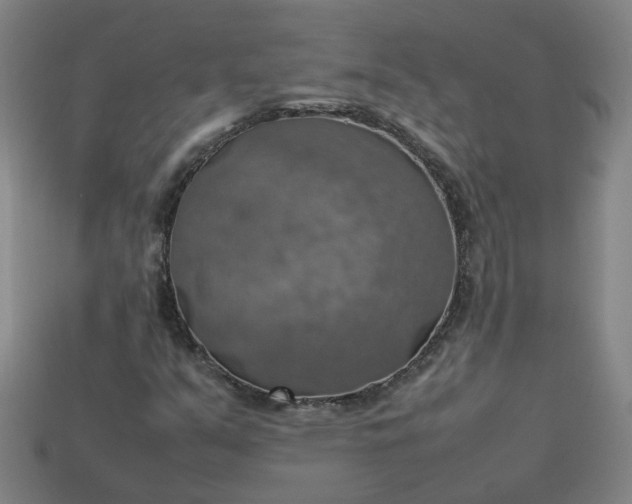 X0000113781351200910071215