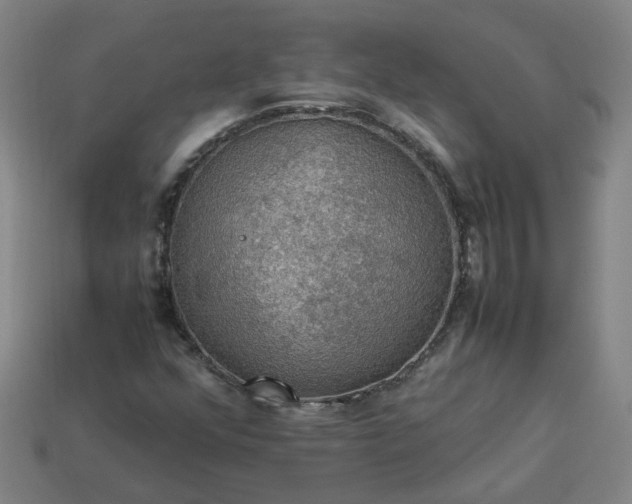 X0000113781352200910071215