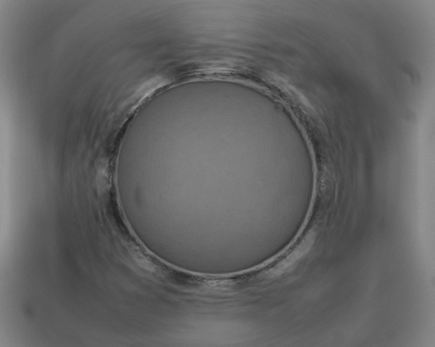 X0000113781353200910071215