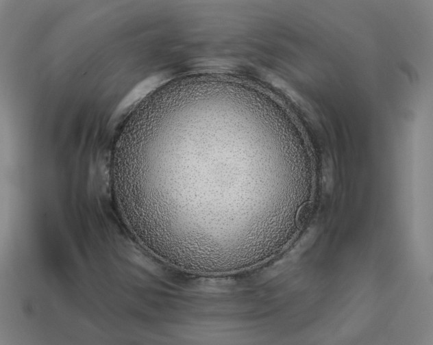 X0000113781354200910071215