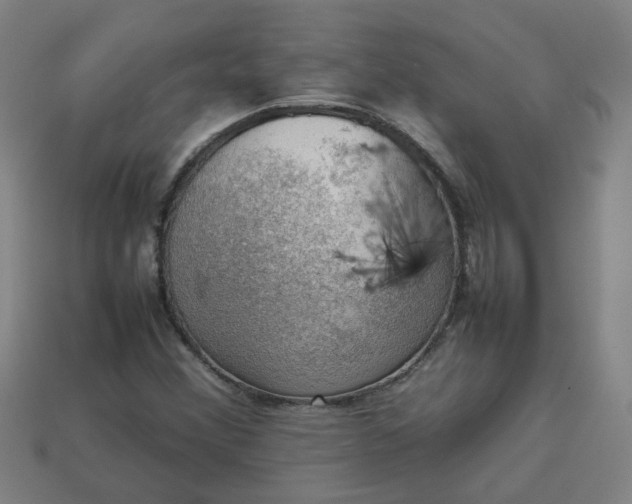 X0000113781356200910071215