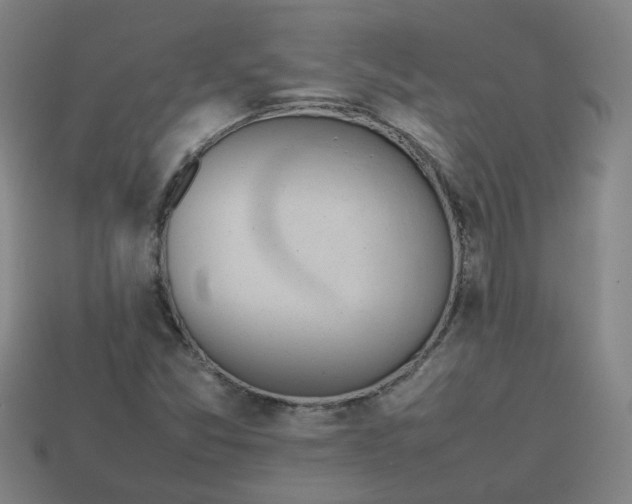 X0000113781357200910071215