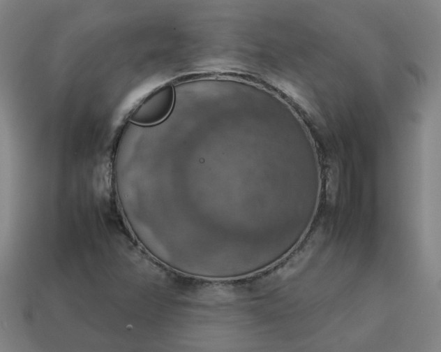 X0000113781358200910071215