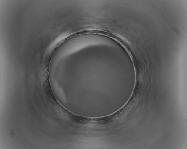 X0000113781359200910071215