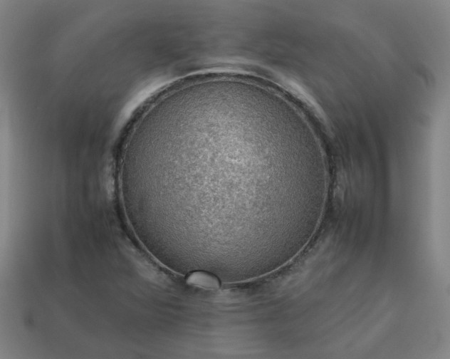 X0000113781360200910071215