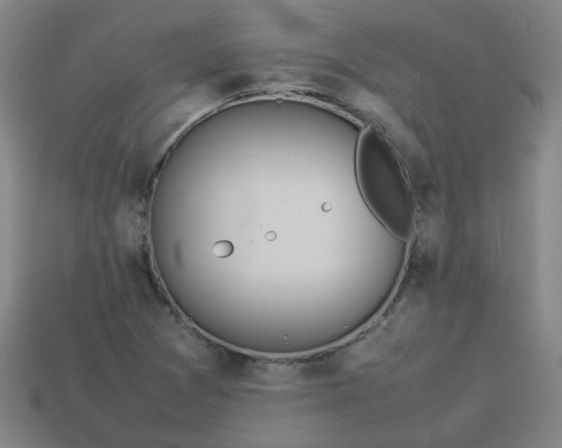 X0000113781361200910071215