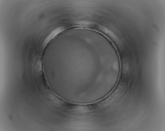 X0000113781362200910071215