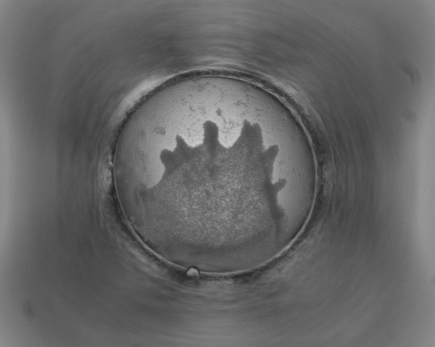 X0000113781363200910071215