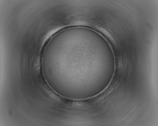 X0000113781364200910071215