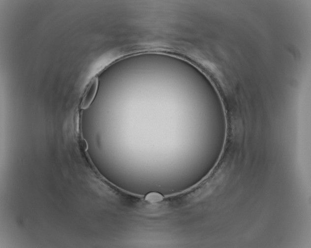 X0000113781365200910071215