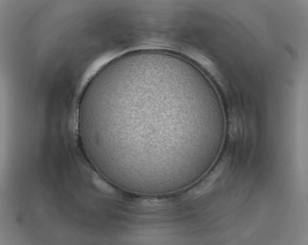 X0000113781366200910071215