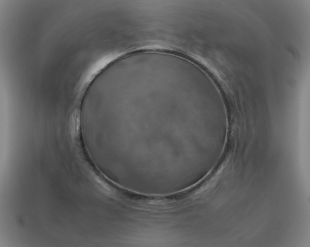 X0000113781367200910071215