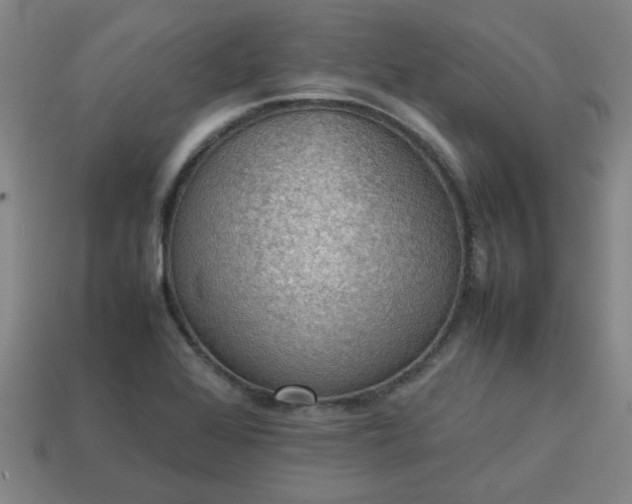 X0000113781368200910071215