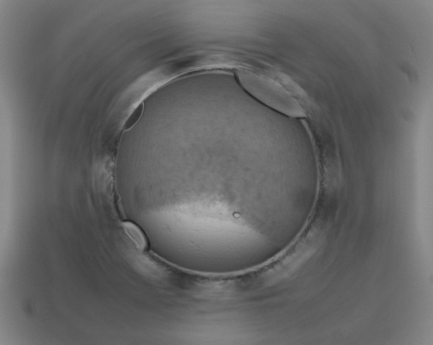 X0000113781369200910071215