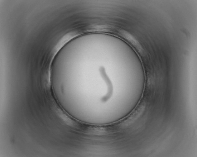 X0000113781370200910071215