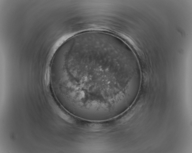 X0000113781371200910071215