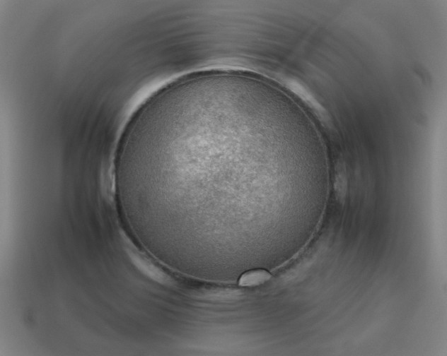 X0000113781372200910071215