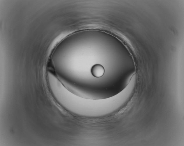 X0000113781373200910071215