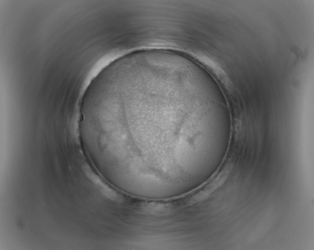 X0000113781374200910071215