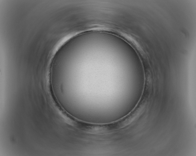 X0000113781375200910071215