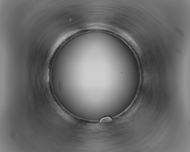 X0000113781376200910071215