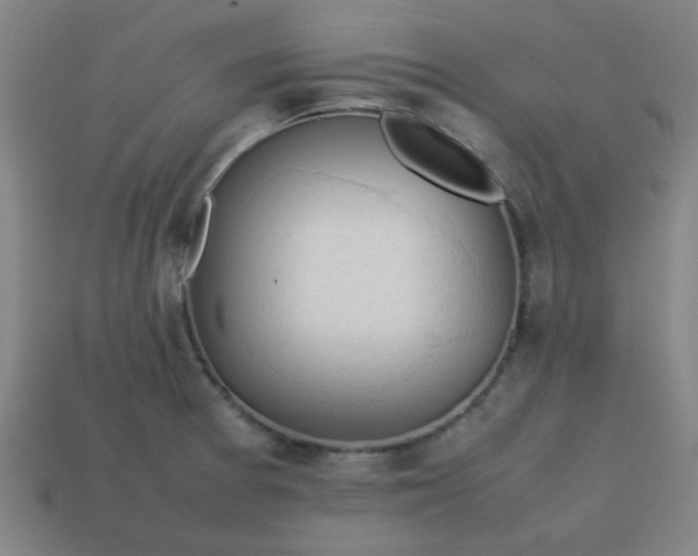 X0000113781377200910071215