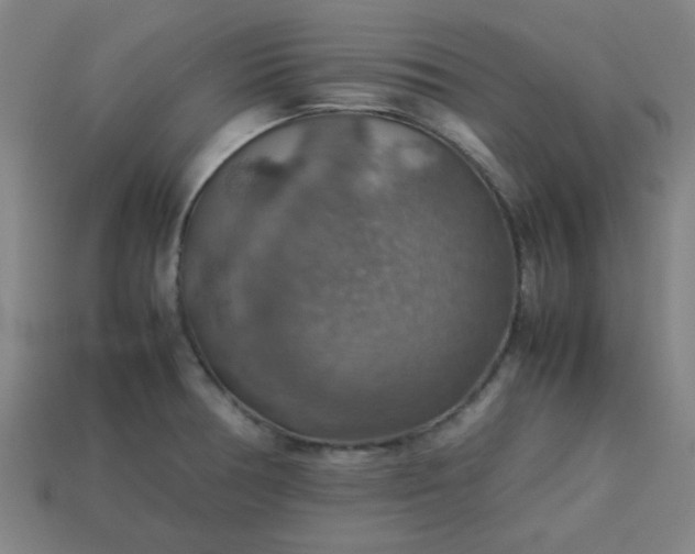 X0000113781378200910071215