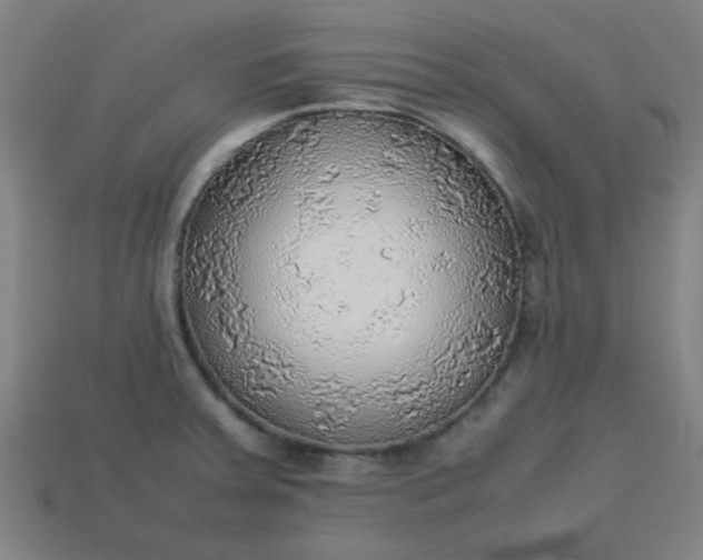 X0000113781379200910071215