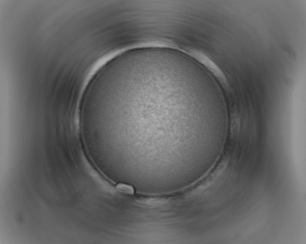 X0000113781380200910071215