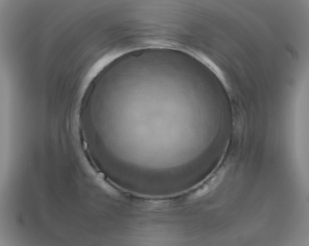 X0000113781381200910071215