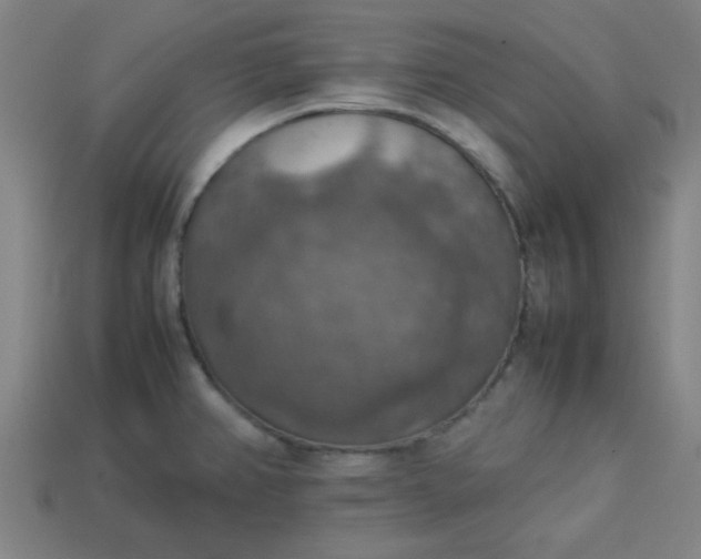 X0000113781382200910071215