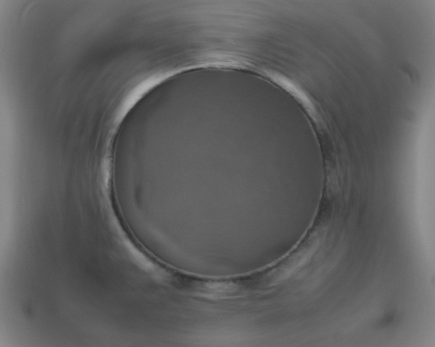 X0000113781383200910071215