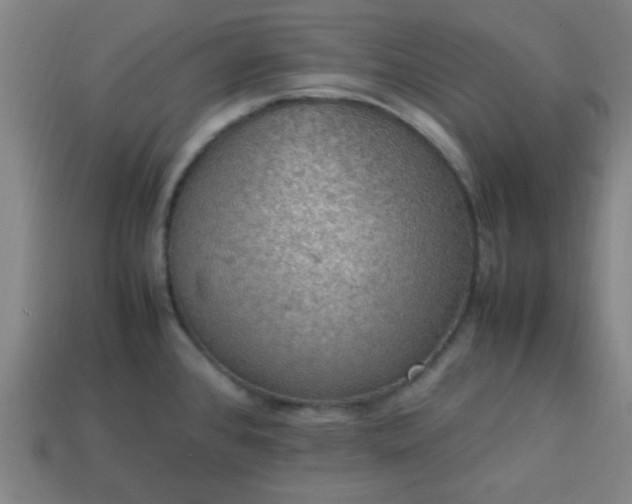 X0000113781384200910071215