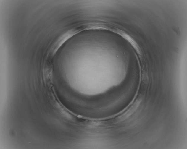 X0000113781385200910071215