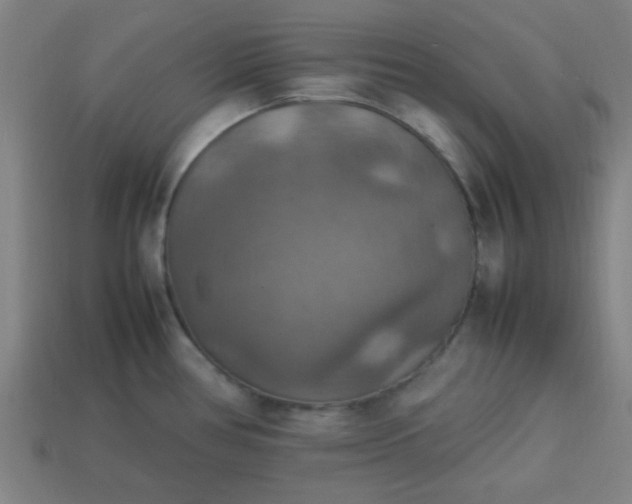 X0000113781386200910071215