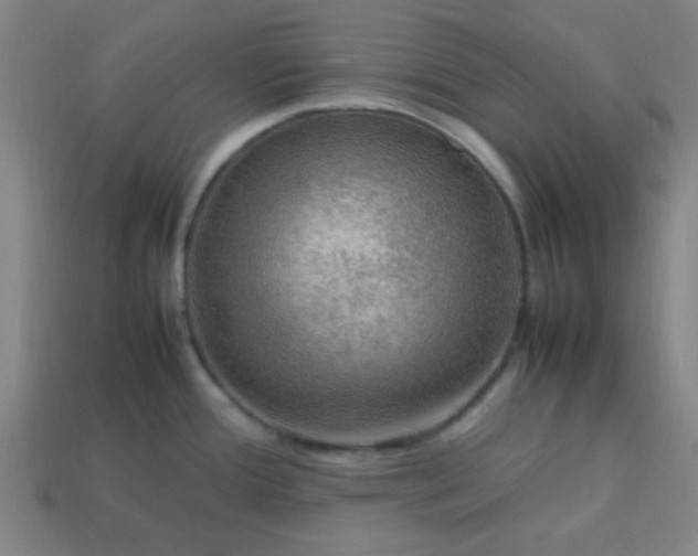 X0000113781388200910071215