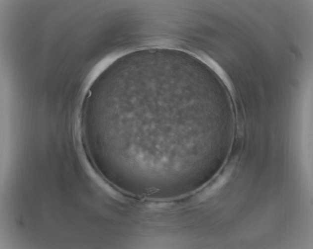 X0000113781389200910071215