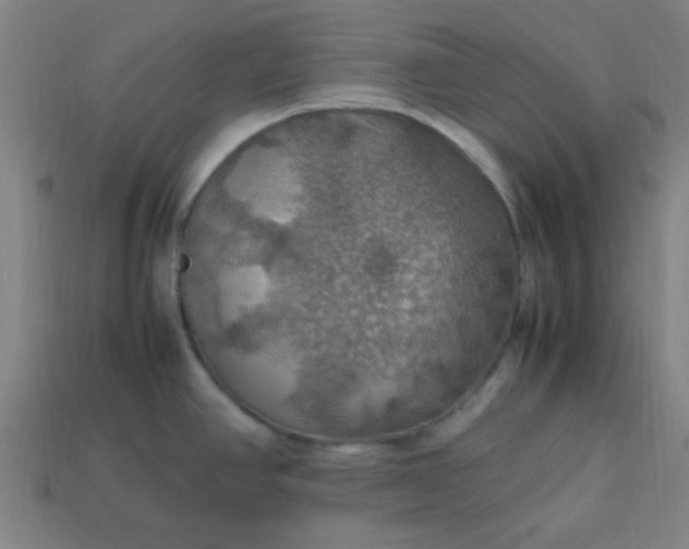 X0000113781390200910071215