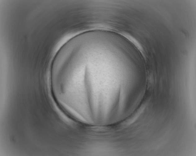 X0000113781391200910071215