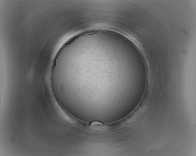 X0000113781392200910071215