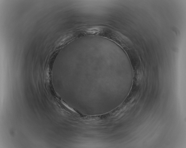 X0000113781394200910071214