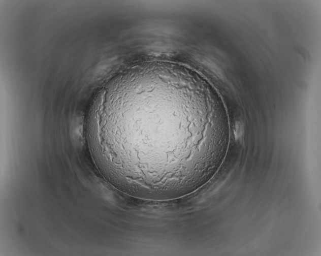 X0000113781396200910071214