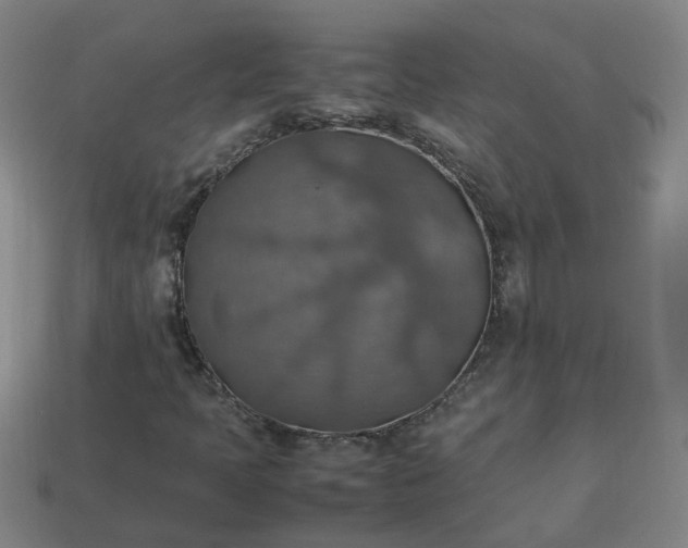 X0000113781397200910071214