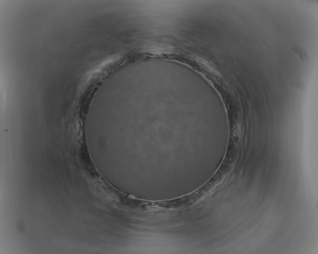 X0000113781398200910071214